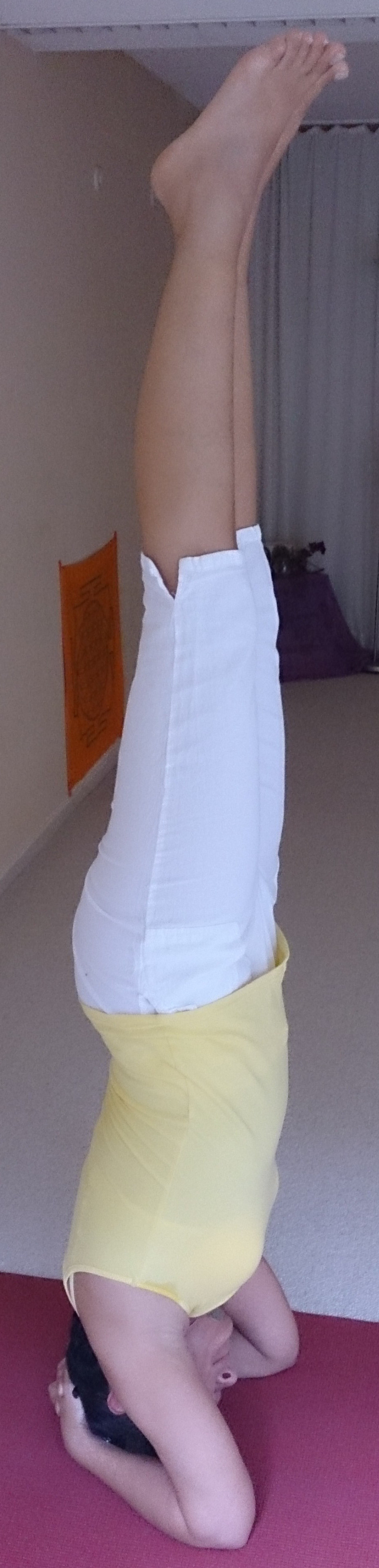 Harishakti Harishakti